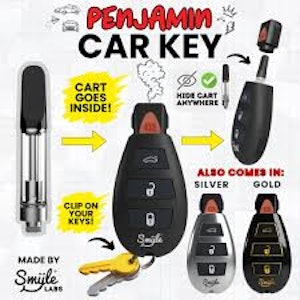 WYN Dist. - Penjamin Car Fob 510 Thread Battery