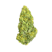 Killer Queen | Pre-Roll | 0.7g