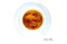 [REC] Kind Tree | Stankasaurus | 1g Badder Live Resin