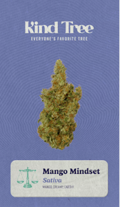KIND TREE - Mango Mindset 3.5g