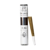White RNTZ x Apple Fritter | Infused Pre-Roll | 1.3g