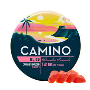 KIVA - Watermelon Lemonade (Bliss) (H) | Camino Gummies 100mg | Camino