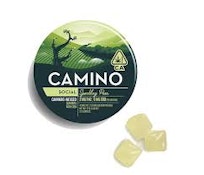 Camino Sparkling - Pear CBD "Social" Gummies - 40mg THC and 120mg CBD