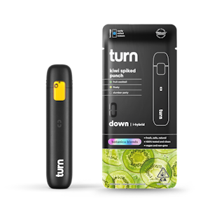 TURN - AIO - Kiwi Spiked Punch - (Botanical Blends) - 1g (IH) - Turn