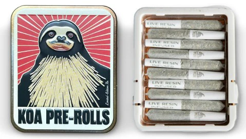 KO Cannabis - Amnesia Haze 10 Pack Main Image