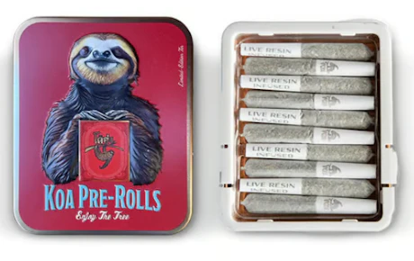 Runtz x Gelato 10 Pack