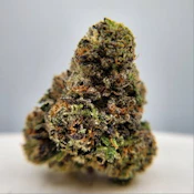 THC - Kut Throat Kandy Bud