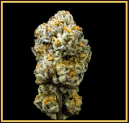 Kusala | Flower | Gary Payton | 3.5g