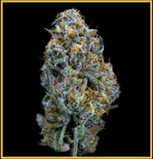 Kusala | Flower | OMG Burger | 3.5g