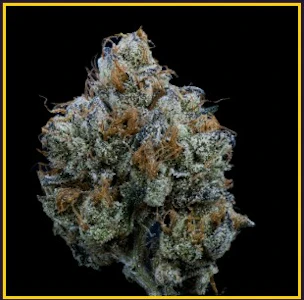 Kusala - Kusala | Flower | Straw-picanna | 3.5g