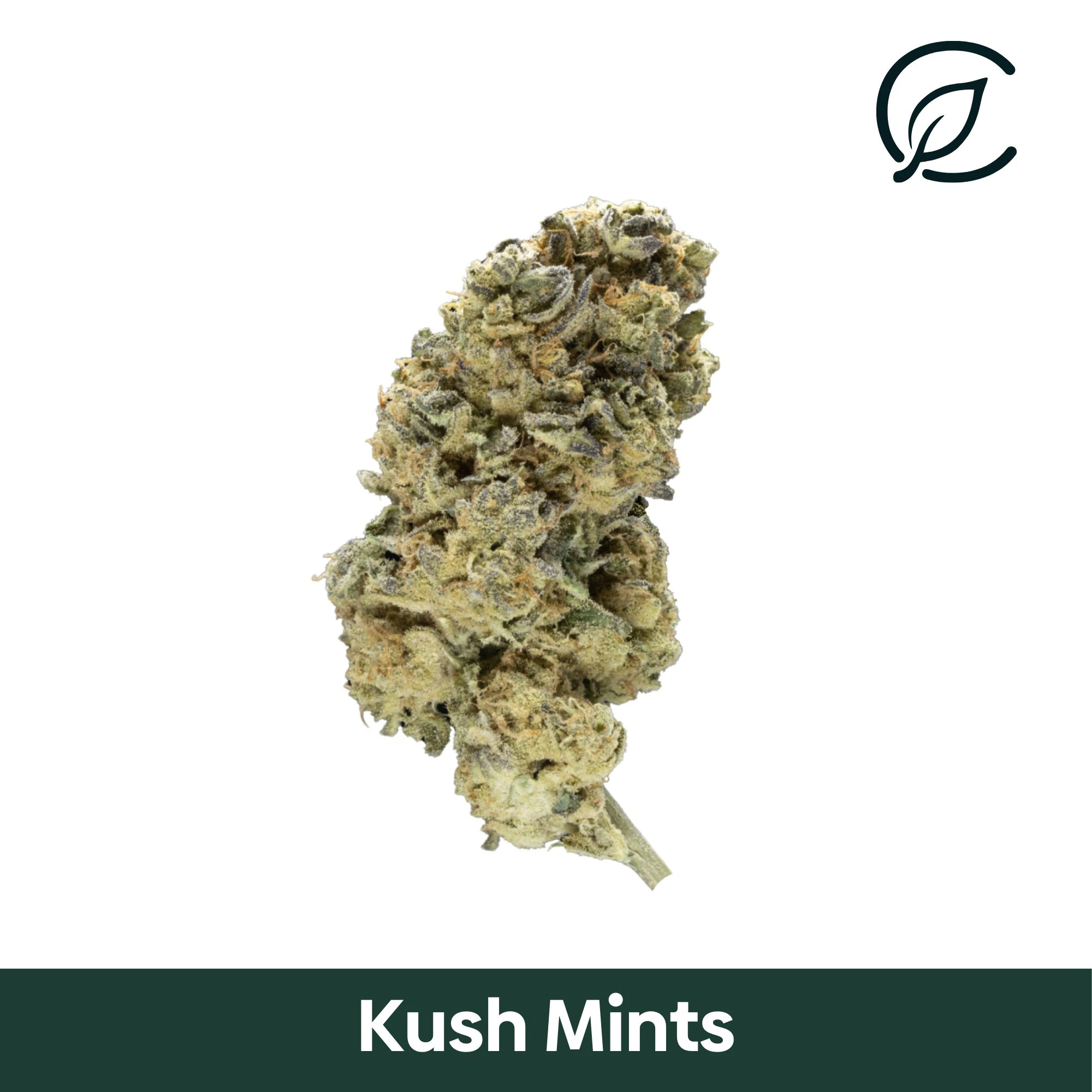 Curaleaf - Curaleaf Whole Flower 3.5g Kush Mints (I) 00932 Main Image