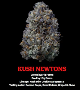 Fig Farms - Kush Newton - (I) - Fig Farms - 3.5g