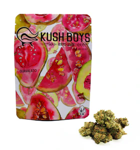 Kush Boys - Kush Boys Guavalato Cake (IH) 3.5g