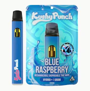 Kushy Punch All In One 1g Blue Raspberry