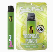 Kushy Punch All In One 1g Tropical Punch