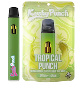 Tropical Punch Disposable Pen - 1g