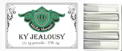KY Jealousy 5pk 1g Preroll | Mildly Moronic