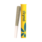 Kynd Preroll-Caesar-1g