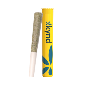 Kynd - Kynd Preroll-Caesar-1g