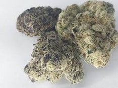 LA Pop Rockz | Common Citizen | Bulk Flower