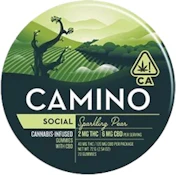 Camino Sparkling Pear CBD "Social" Gummies