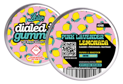 Dialed In - Gummies - Pink Lavender Lemonada (S) - 100mg