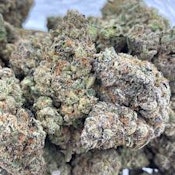 Bulk Flower | Bowhouse | Lemon Cherry Gelato