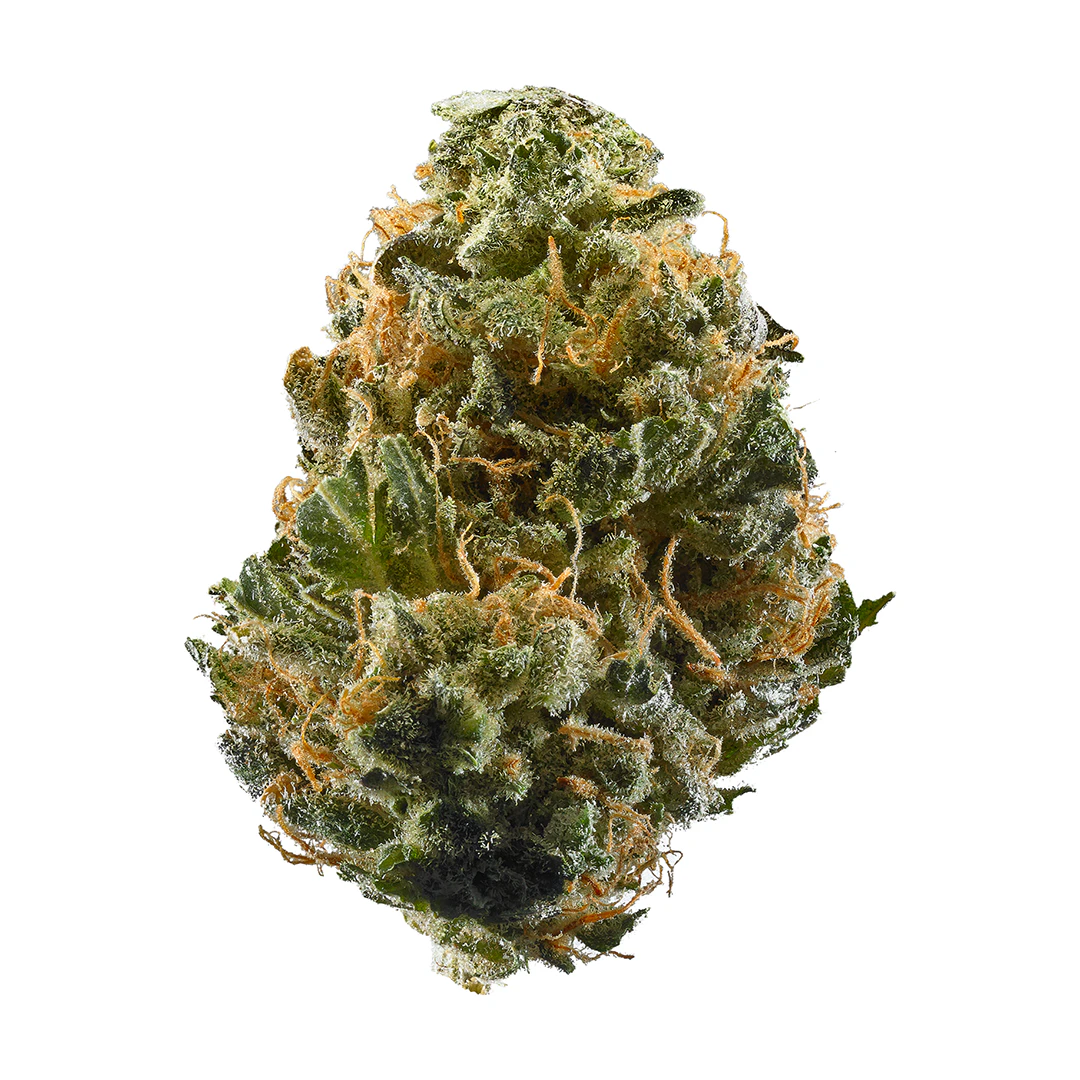 Turntables - LEMON CHERRY HAZE - TURNTABLES SUPREME SHELF FLOWER 14G Main Image