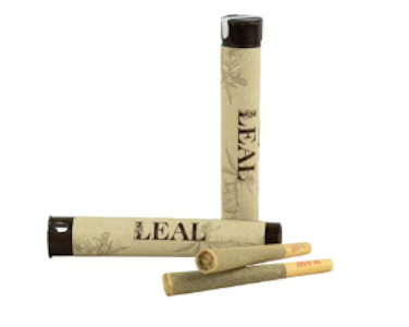 Leal - Poddy Mouth 1G Pre Roll