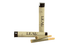 LEAL - Caramel Cream - 1g - Preroll