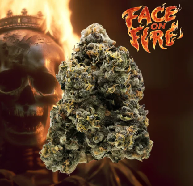 LEGACY - Face On Fire Premium Flower - 1g Main Image