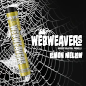 Webweavers-Lemon Mellow 1g Tarantula