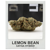 Lemon Bean