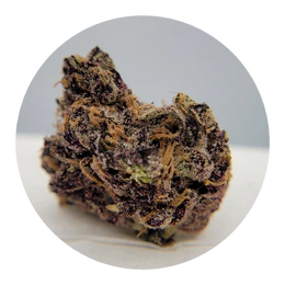 The Hempire Collective - THC - Lemon Cherry Delight Flower Main Image