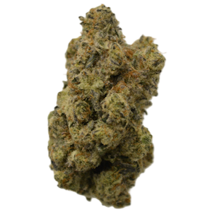 Dr. JC’s Exotics - Lemon Cherry Bomb | 3.5g