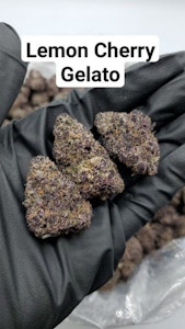 NRS Ventures - NRS | Black Cherry Gelato