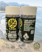 Lemon Cherry Gelato - Infused Preroll - 5 Pack - 2.5g