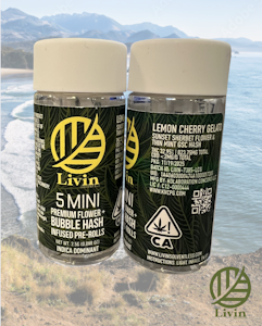 Livin Solventless - Lemon Cherry Gelato - Infused Preroll - 5 Pack - 2.5g