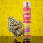Lemon Cherry Gelato - 1g Preroll
