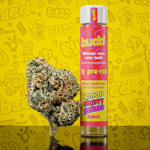 Budd - Lemon Cherry Gelato - 1g Preroll Main Image