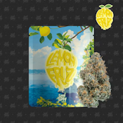 Seed Junky - Sativa - Lemon Fruz Indoor - (3.5g)