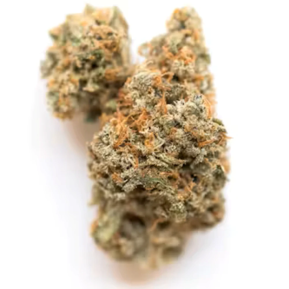 Harbor Harvest - Harbor Harvest | Lemon Meringue | 3.5G Main Image