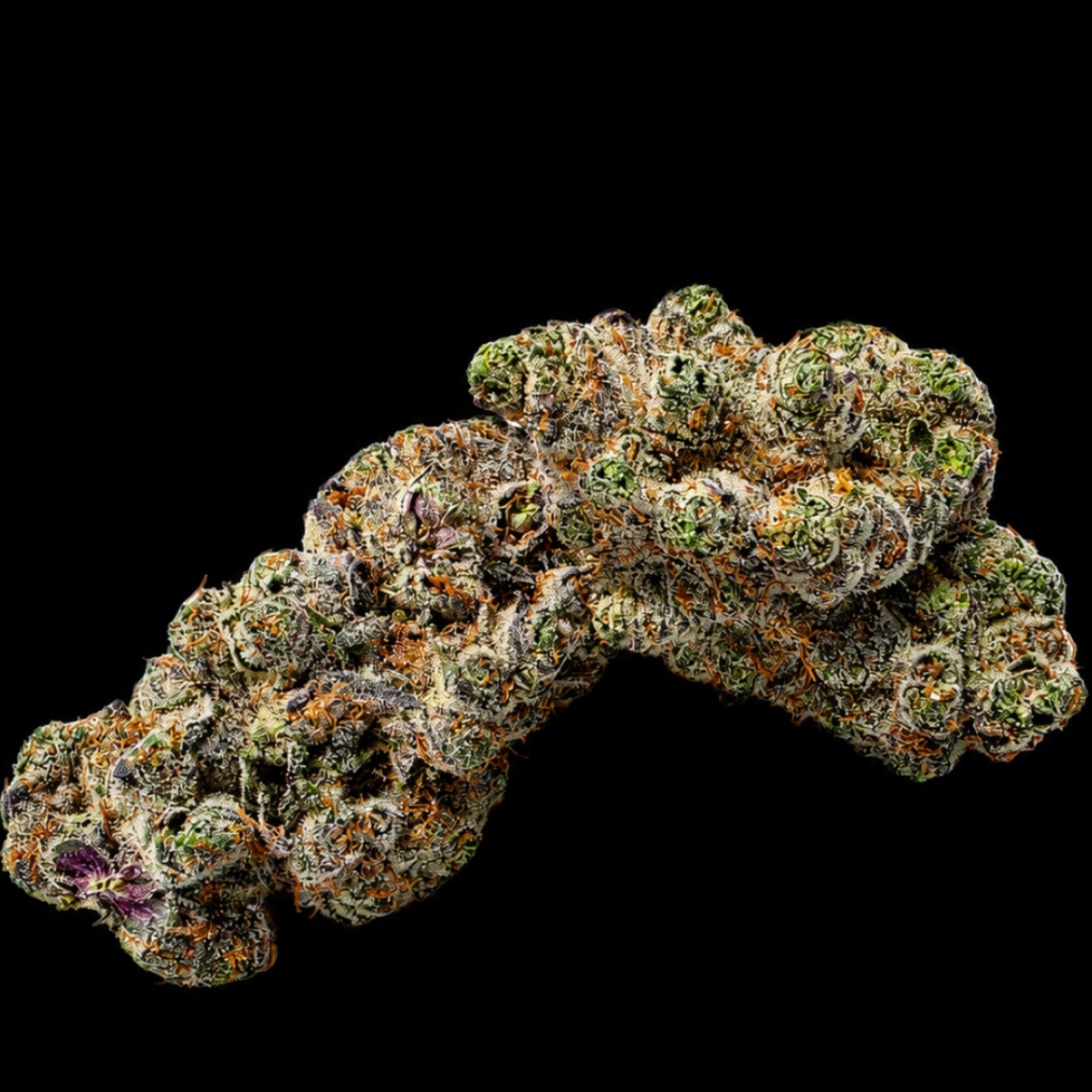 Some Serious Cannabis - Some Serious Lemon OG 1g Flower 00046 Main Image