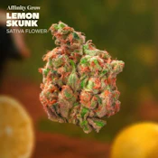 Lemon Skunk Flower T22.24% S 01068