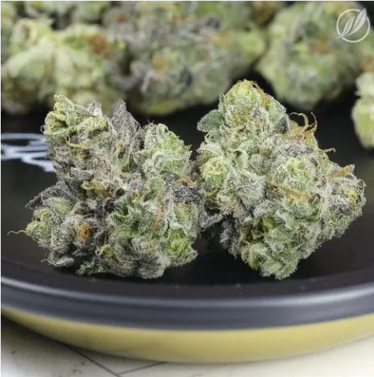CT Pharma - Lemon Skunk Flower SC T18.41% S 24955 Main Image