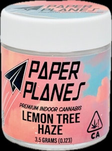 Paper Planes - Lemon Tree Haze 3.5g Jar - Paper Planes