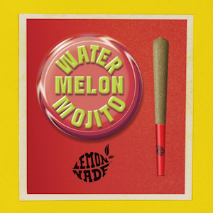 LEMONNADE - LEMONNADE | WATERMELON MOJITO - INFUSED | PREROLL | 1G