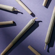 Level 10 - Preroll - Astro Pop