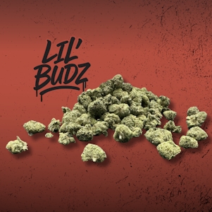 BRIX - Lil' Budz B Yo (I) 00325