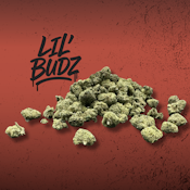 Lil' Budz Gary P (H) 00298